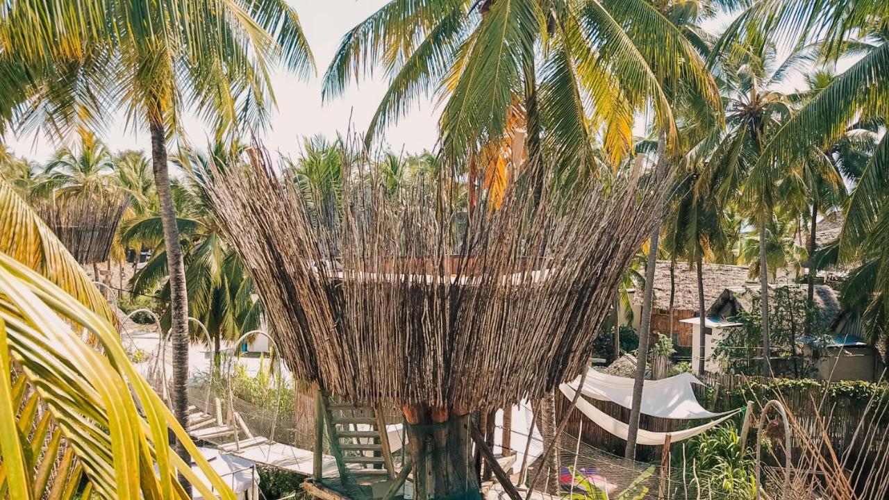 The Nest Boutique Resort Paje Εξωτερικό φωτογραφία